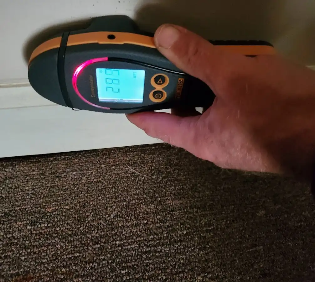 Moisture detection at baseboard during Burst Pipe Cleanup in Wright
